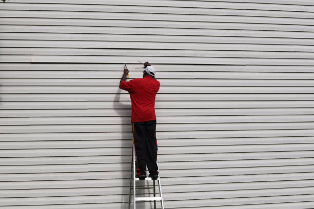 Best Hoarding Cleanup  in Canton Valley, CT